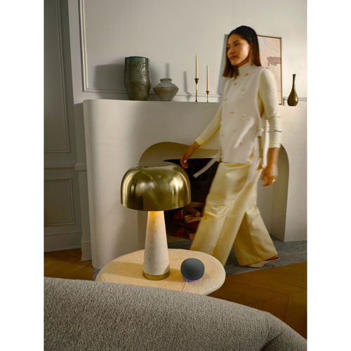 Haut-parleur intelligent Google Home avec Assistant Google - Vert lichen - Printemps 2026