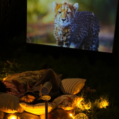 XGIMI MoGo 4 Laser Projector Outdoor Collection - Triple Laser, Google TV, Netflix Ready, 1080p, 4k Support, Wifi/Bluetooth, 5h Battery, Speaker -