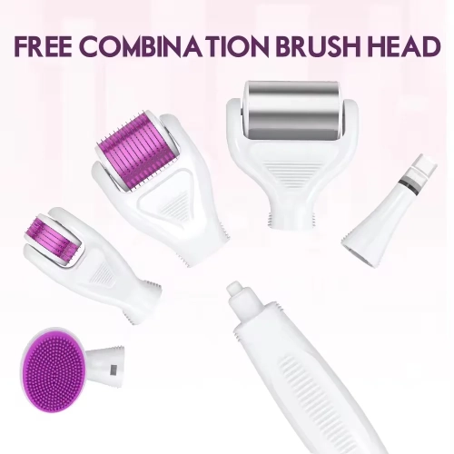 Derma Roller, Micro Needing System for Women and Men, 6 in 1 Microneedles with 5 Replaceable Heads for Beard and Hair Growth, Face, Skin Care