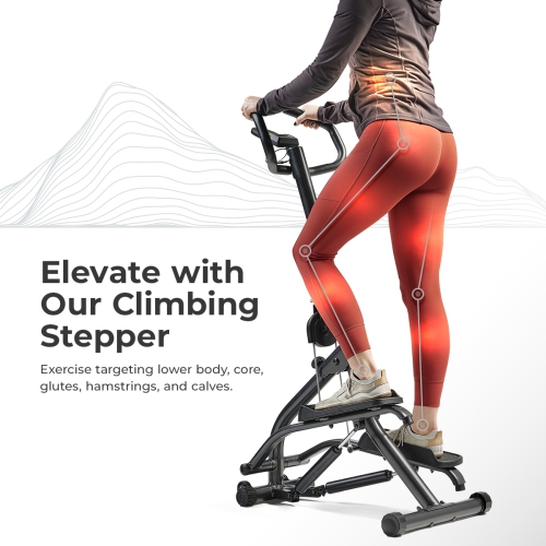 Sunny Health & Fitness Climber Stepper with Handlebar – SF-S021001
