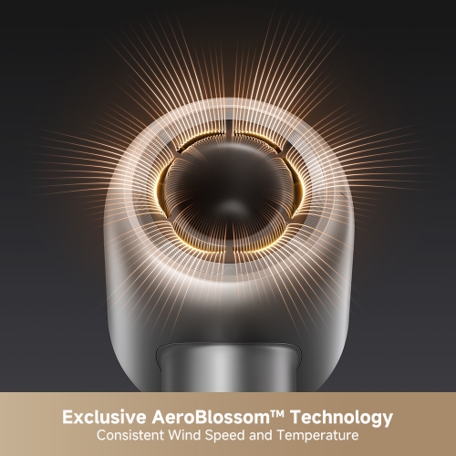 MOVA Shine 10 High-speed Hair Dryer, 110,000RPM Brushless Motor Blow Dryer Plasma Hair Care for Gentle Drying, 4 Modes 2 Speed for Your Perfect Style