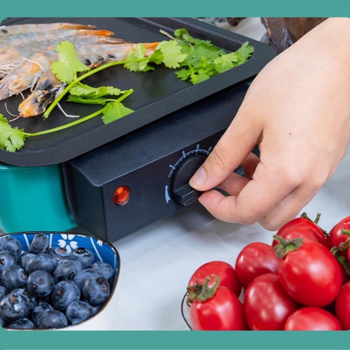 Electric Indoor Grill, 2 in 1 Indoor Grills for Kitchen, Versatile Smokeless Indoor Grill for Home Cooking With Grill Mesh, Non-Stick Baking Pan and