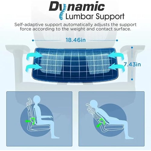 Ergonomic Office Chair, Height Adjustable Desk Chair and Gaming Chair with Lift Function, Lumbar Support for Home, Office