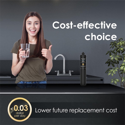 Cartouche de filtre de rechange RF17 de Waterdrop pour filtre à eau de dessous d'évier de 17-17UB