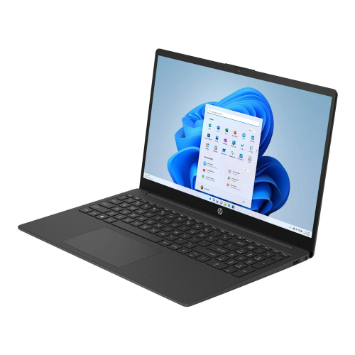 Portable professionnel IPS FHD 15,6 po HP - Noir