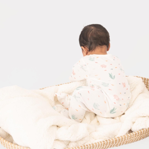 The Elk Baby Premium Organic Cotton Whale Play and Grow Rib Foot Zippy