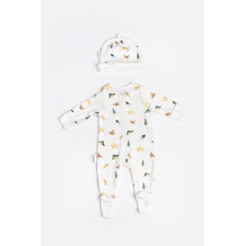 The Elk Baby Sea creatures Play and Grow Zippy