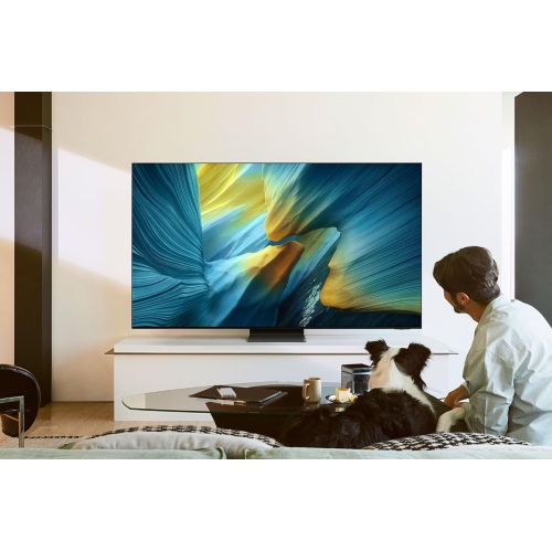 Téléviseur intelligent OLED 4K de 77 po QN77S95FAEXZC de Samsung - Boîte ouverte