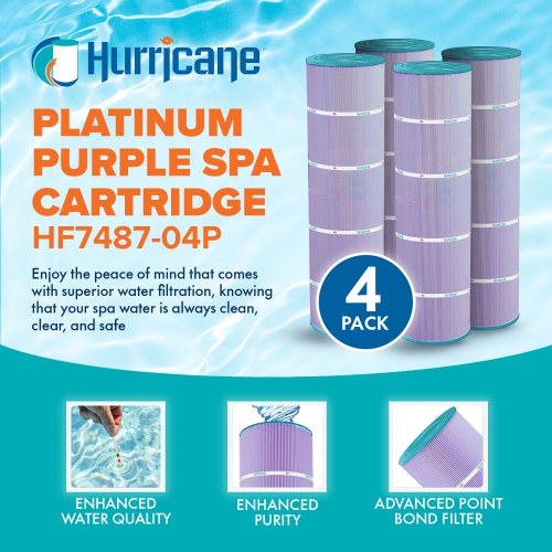 Cartouche de filtre de rechange pour spa violet Platinum HF7487-04P de Hurricane, paquet de 4