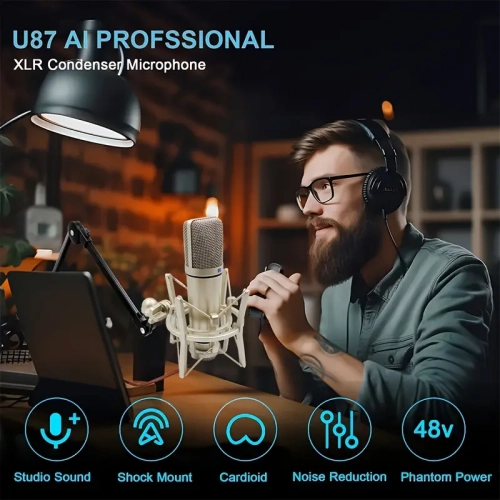 Microphone, Professional Cardioid Studio Microphone for Recording, Podcasting, Voiceover, Streaming, Karaoke DC Power Supply, Video Conferencing