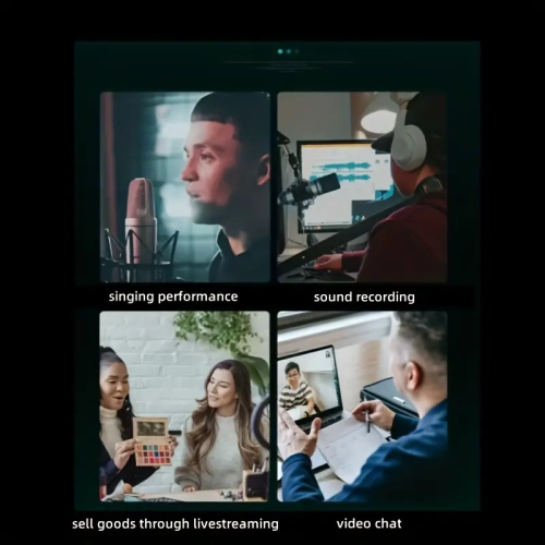 Microphone, Professional Cardioid Studio Microphone for Recording, Podcasting, Voiceover, Streaming, Karaoke DC Power Supply, Video Conferencing