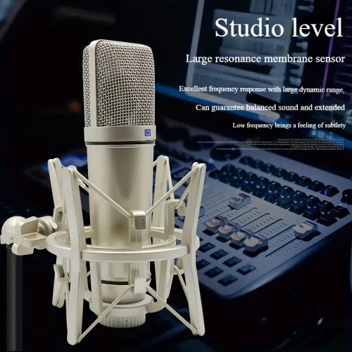 Microphone, Professional Cardioid Studio Microphone for Recording, Podcasting, Voiceover, Streaming, Karaoke DC Power Supply, Video Conferencing