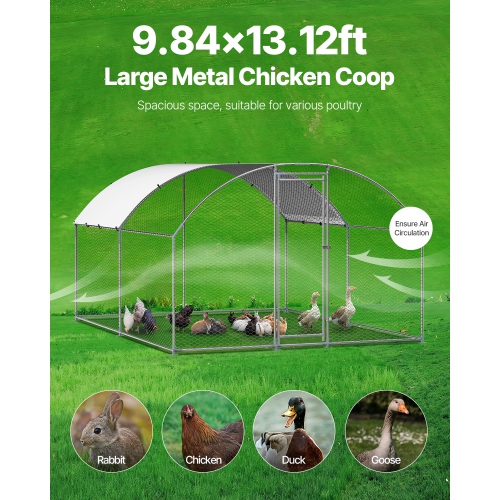 Poulet en métal VEVOR 9,8x13.1x6.5&nbsp;pi, grandes allées de poulet avec couvercle, enceinte de maison en toit Doom avec verrou de sécurité, stylo à