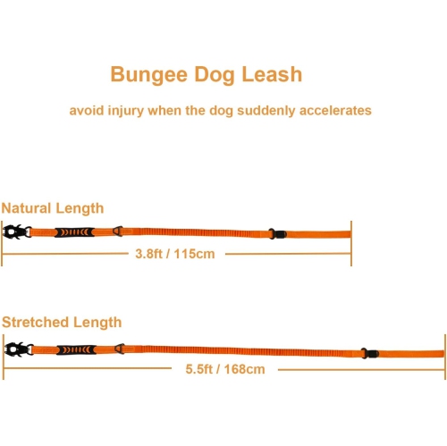 Pet Leash- Elastic Shock Absorption, Car Seat Belt Clip and Highly Reflective Thread, Double Safety Lock, 1.16-1.65M，Suitable for Medium Dogs,