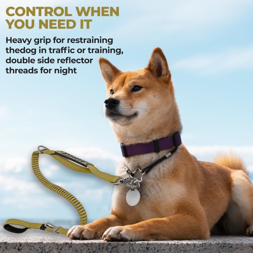 Pet Leash- Elastic Shock Absorption, Car Seat Belt Clip and Highly Reflective Thread, Double Safety Lock, 1.16-1.65M，Suitable for Medium Dogs,