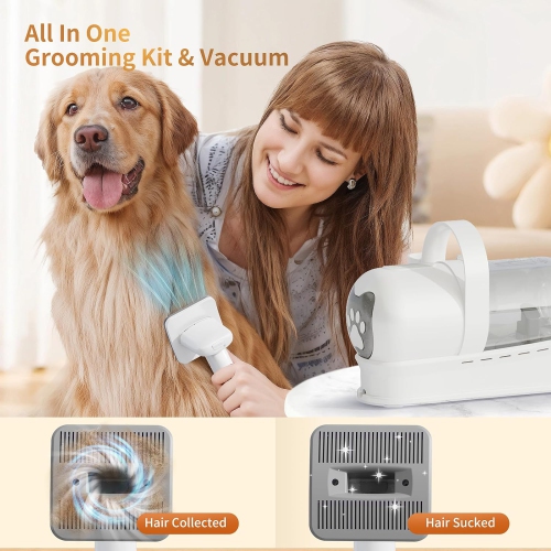 Aspirateur multifonctionnel pour poils d'animaux 7 en 1, ensemble d'aspirateur de toilettage pour chiens avec seau à poussière de 1 litres, 3