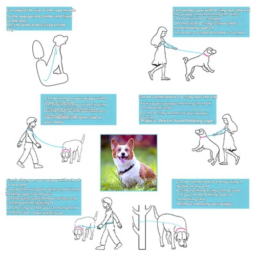 Multifunctional retractable dog leash - 2.2 meters, with shock absorption function, car seat belt buckle and reflective safety strip, multi-purpose,