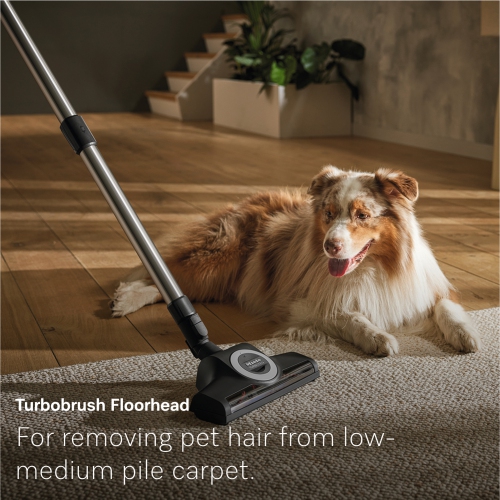Miele Guard M1 Cat & Dog Cannister | Bagged Vacuum for Pet Hair with TurboBrush, Active AirClean Filter, and Long Reach for Carpets and Hard Floors |