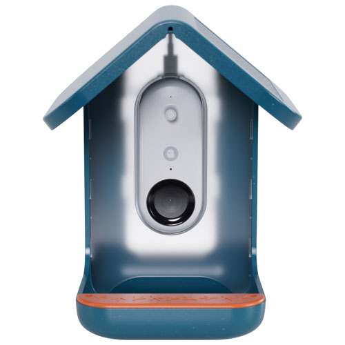 Bird Buddy Pro Solar Smart Bird Feeder w/ Cam + Perch Extender - Blue - Exclusive Retail Partner