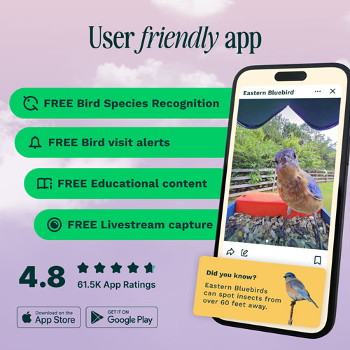 Bird Buddy Pro Solar Smart Bird Feeder w/ Cam + Perch Extender - Blue - Exclusive Retail Partner