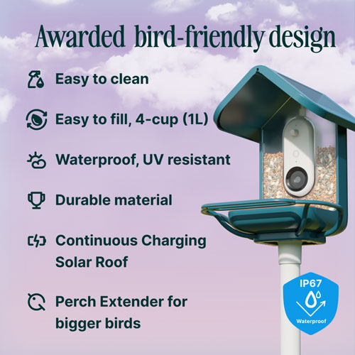 Bird Buddy Pro Solar Smart Bird Feeder w/ Cam + Perch Extender - Blue - Exclusive Retail Partner