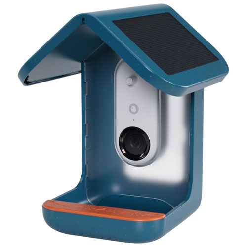 Bird Buddy Pro Solar Smart Bird Feeder w/ Cam + Perch Extender - Blue - Exclusive Retail Partner