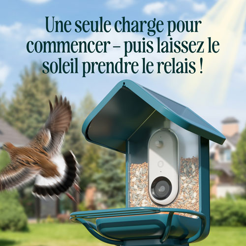 Bird Buddy Pro Solar Smart Bird Feeder w/ Cam + Perch Extender - Blue - Exclusive Retail Partner