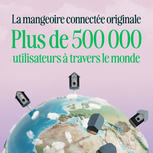 Bird Buddy Pro Solar Smart Bird Feeder w/ Cam + Perch Extender - Blue - Exclusive Retail Partner