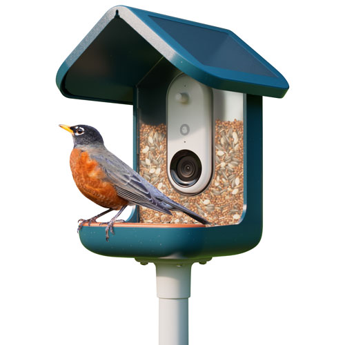 Bird Buddy Pro Solar Smart Bird Feeder w/ Cam + Perch Extender - Blue - Exclusive Retail Partner