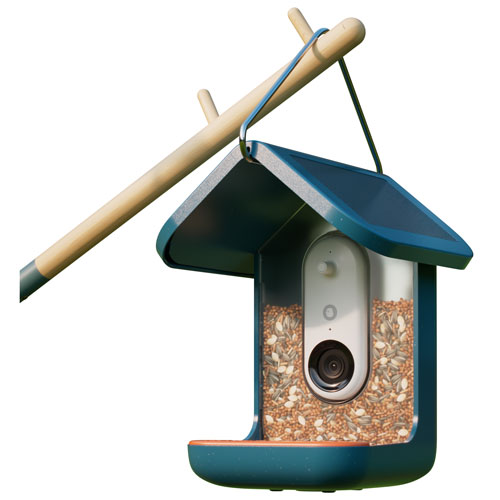 Bird Buddy Pro Solar Smart Bird Feeder w/ Cam + Perch Extender - Blue - Exclusive Retail Partner