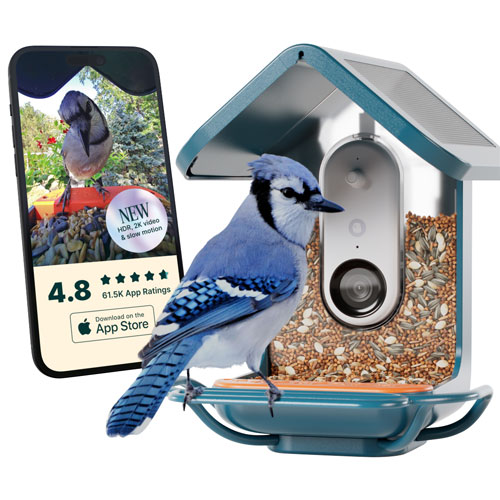 Bird Buddy Pro Solar Smart Bird Feeder w/ Cam + Perch Extender - Blue - Exclusive Retail Partner