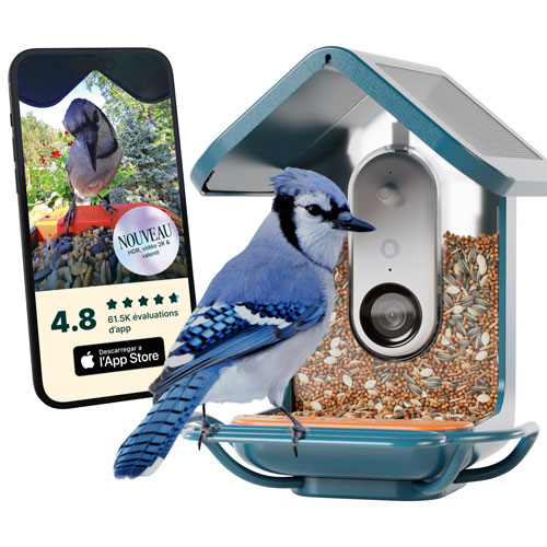 Bird Buddy Pro Solar Smart Bird Feeder w/ Cam + Perch Extender - Blue - Exclusive Retail Partner