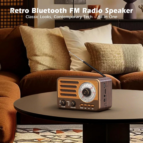 Radio à transistor rétro, AM FM SW alimenté par piles, petite radio portative rechargeable, prise en charge de la carte TF/lecteur MP3 auxiliaire/USB
