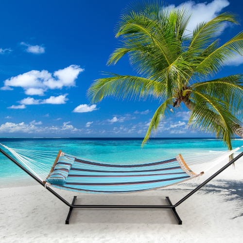 Hamac de Costway avec oreiller incurvé en bambou, chaîne d'écartement portative intérieure/extérieure