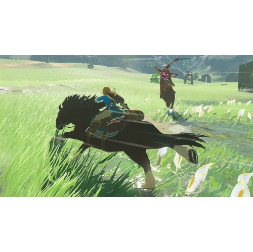 Abonnement d'extension The Legend of Zelda: Breath of the Wild [Nintendo Switch]