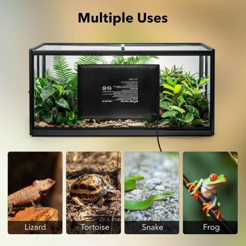 BN-LINK – Chaufferette pour reptile de 8 x 12&nbsp;po&nbsp;: Thermostat numérique combiné