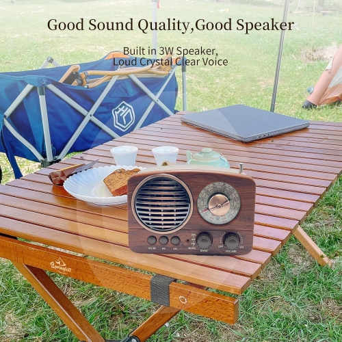 Radio portative rétro haut-parleur Bluetooth, petite radio avec bonne réception, radio AM FM Bluetooth portative rechargeable, prise en charge TF