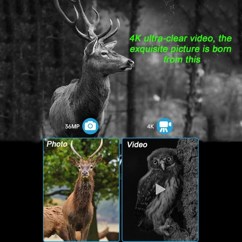 Lunettes de vision nocturne binoculaire avec écran HD à matrice active de 3,2&nbsp;po, zoom numérique 8x, photos de 36 Mpx et vidéo 4K, et étanchéité