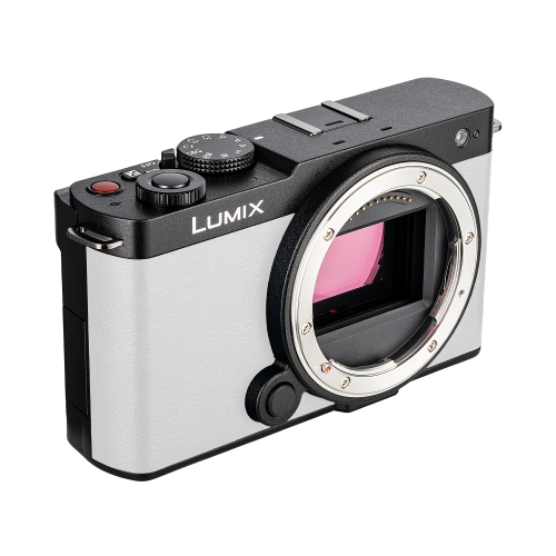 Panasonic Lumix S9Camera, 64GB SF-M Tough Series UHS-II SDXC Memory Card