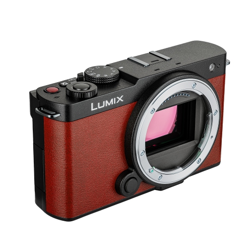 Panasonic Lumix S9 Camera, 64GB SF-M Tough Series UHS-II SDXC Memory Card