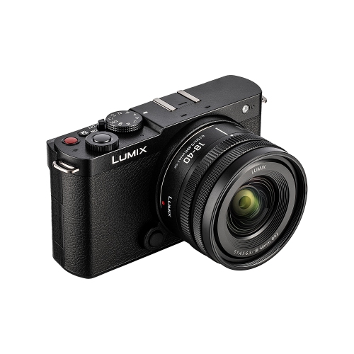 Panasonic Lumix S9Camera, 2 pack of 64GB Memory Card