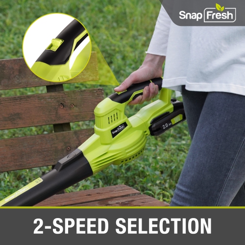 SnapFresh 20V Cordless Electric Leaf Blower with 2.0Ah Battery and Charger for Lawn Patio Garden(Green)