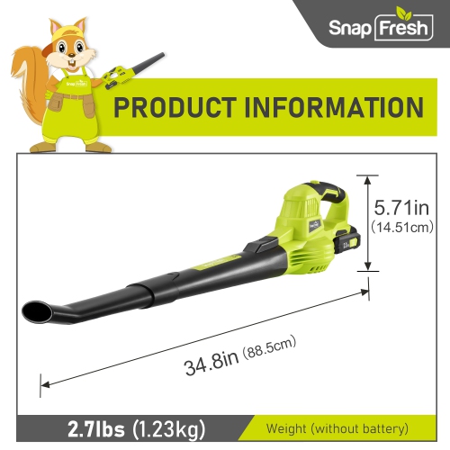 SnapFresh 20V Cordless Electric Leaf Blower with 2.0Ah Battery and Charger for Lawn Patio Garden(Green)