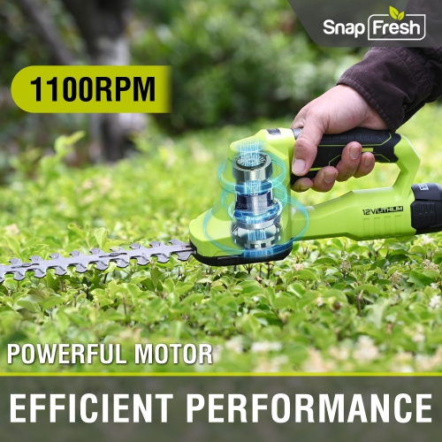 SnapFresh 12V 2 in 1 Cordless Grass Shears and Hedge Trimmer with Battery and Charger Included
