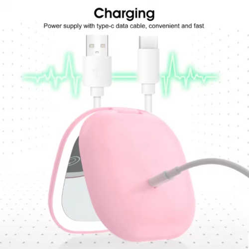 Rechargeable Handheld LED Makeup Mirror Dual Sided 10X Magnification With 400mAh Battery And Adjustable Brightness For Travel