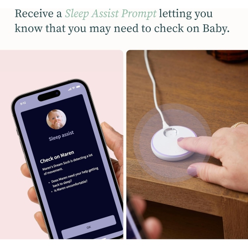 Owlet Dream Sock - Mint