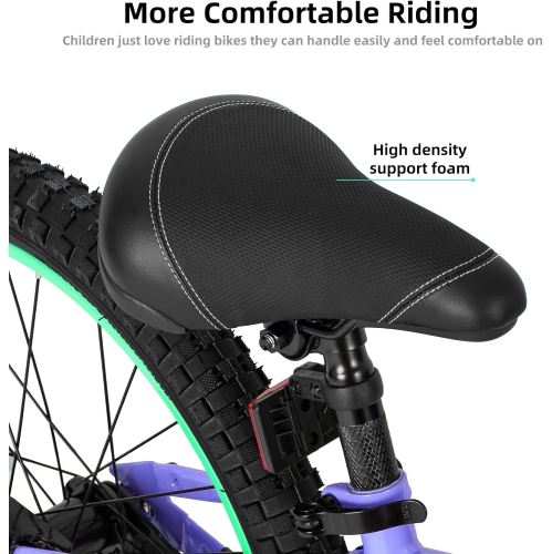 JOYSTAR NEO 20 Inch Kids Bike for Ages 6-10 Years Old Boys & Girls, 20 Inch Wheels Kids Mountain Bike with Training Wheels & Handbrake, Purple