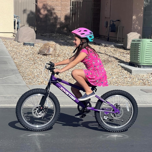 JOYSTAR 20 Inch Mountain Bike for Kids Ages 7-12 Year Old, 7 Speed Shimano Drivetrain, Disc Brakes, Fat Tire Kids Bicycles for Boys Girls Purple