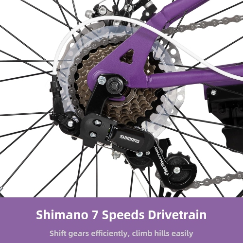 JOYSTAR 20 Inch Mountain Bike for Kids Ages 7-12 Year Old, 7 Speed Shimano Drivetrain, Disc Brakes, Fat Tire Kids Bicycles for Boys Girls Purple