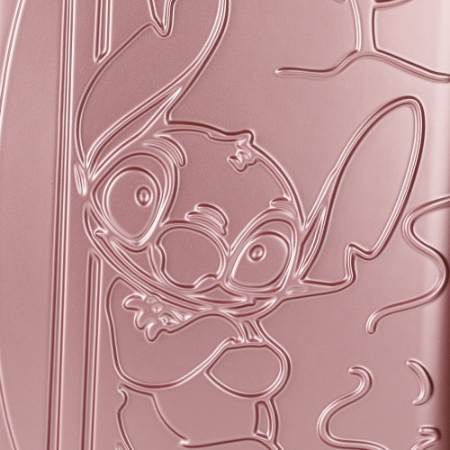 Bagage de cabine rigide de 20&nbsp;po assorti